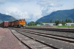 BNSF 7241 and Glacier Nationa Park in the background as comes off the downhill run off Marias Pass.
